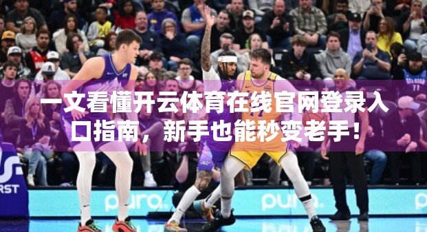 一文看懂开云体育在线官网登录入口指南，新手也能秒变老手！