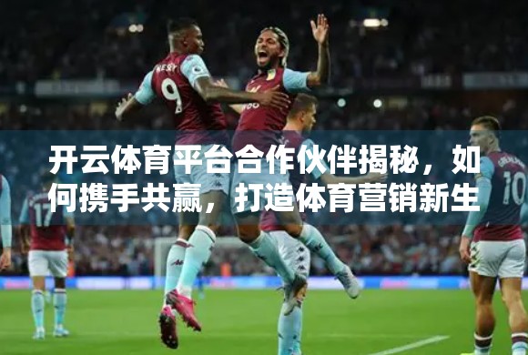 开云体育平台合作伙伴揭秘，如何携手共赢，打造体育营销新生态？