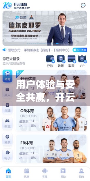 用户体验与安全共赢，开云体育娱乐app安全策略深度解析