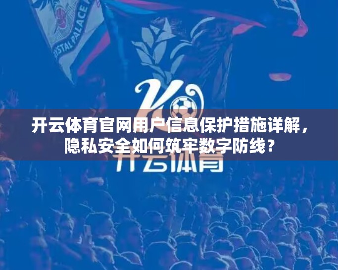 开云体育官网用户信息保护措施详解，隐私安全如何筑牢数字防线？