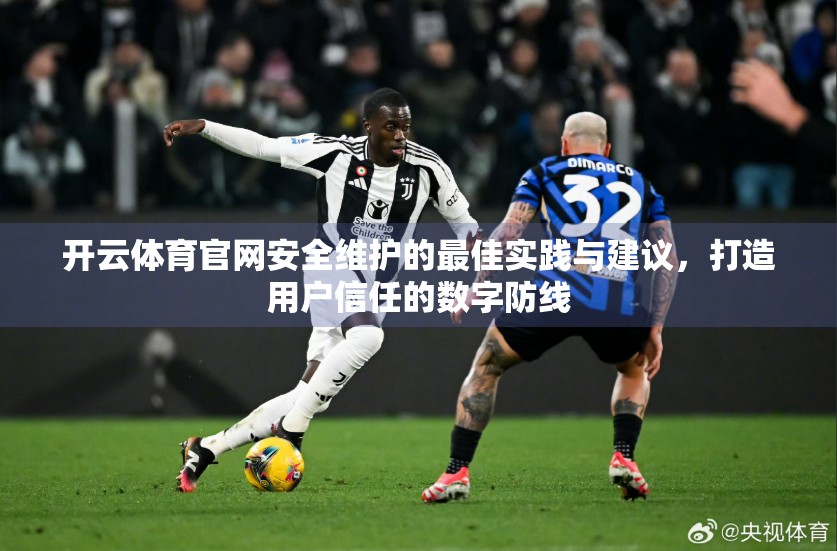 开云体育官网安全维护的最佳实践与建议，打造用户信任的数字防线