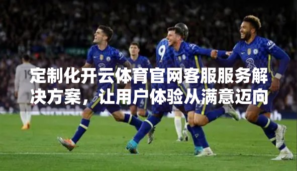 定制化开云体育官网客服服务解决方案，让用户体验从满意迈向惊喜
