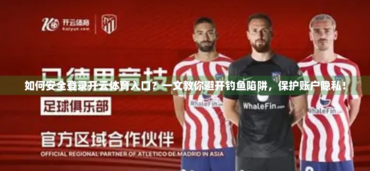 如何安全登录开云体育入口？一文教你避开钓鱼陷阱，保护账户隐私！