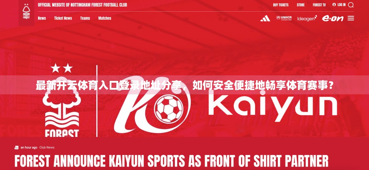 最新开云体育入口登录地址分享，如何安全便捷地畅享体育赛事？