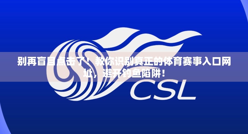 别再盲目点击了！教你识别真正的体育赛事入口网址，避开钓鱼陷阱！