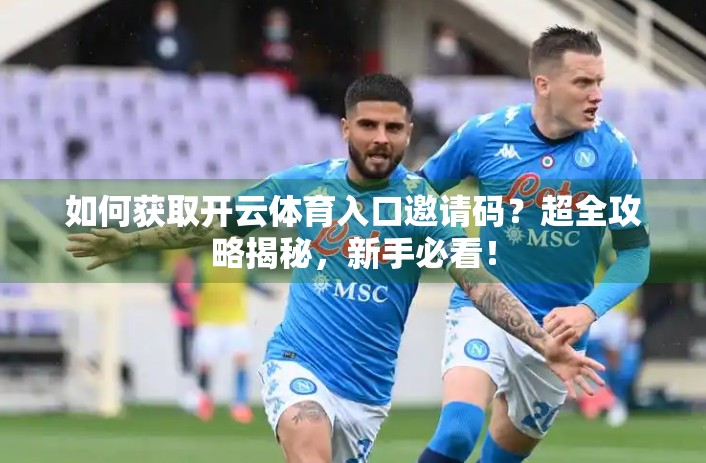 如何获取开云体育入口邀请码？超全攻略揭秘，新手必看！