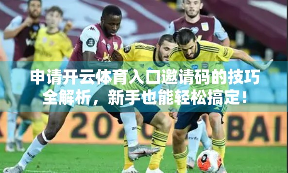 申请开云体育入口邀请码的技巧全解析，新手也能轻松搞定！