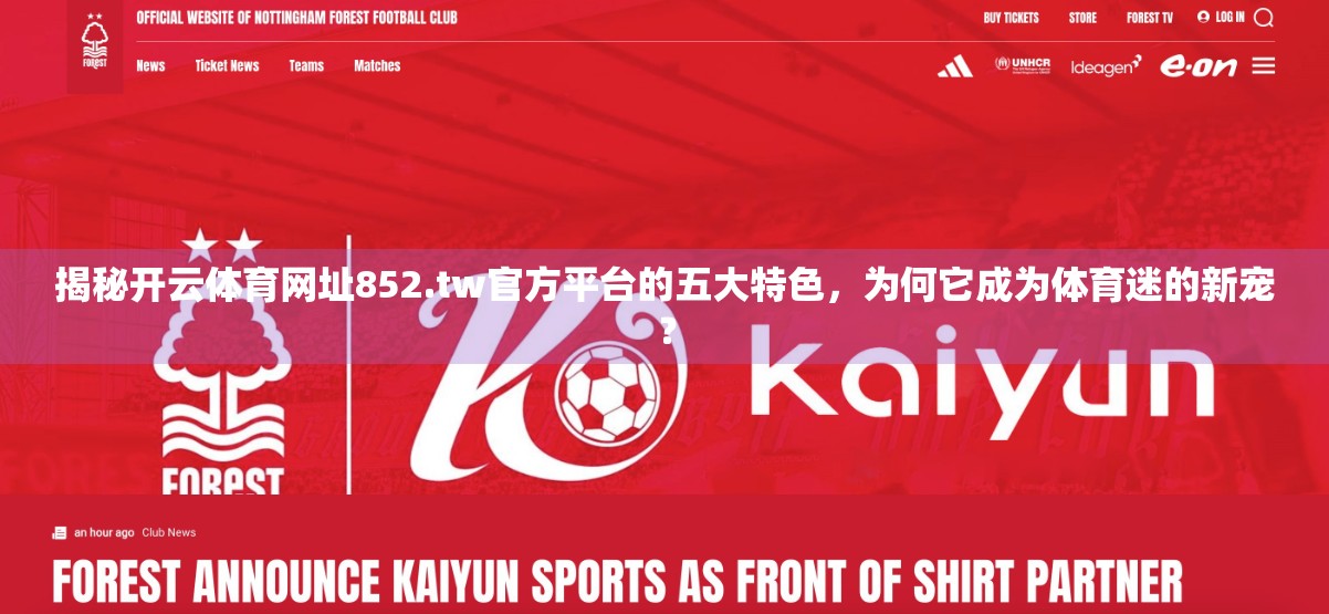 揭秘开云体育网址852.tw官方平台的五大特色，为何它成为体育迷的新宠？