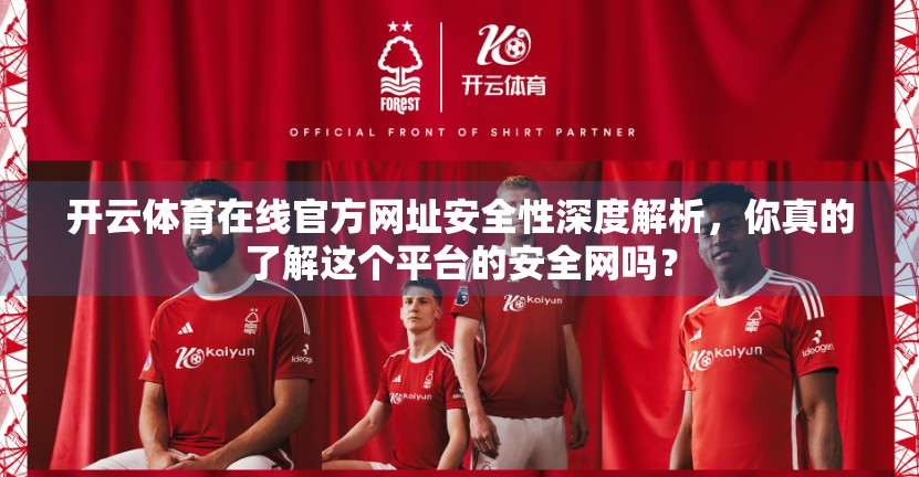 开云体育在线官方网址安全性深度解析，你真的了解这个平台的安全网吗？