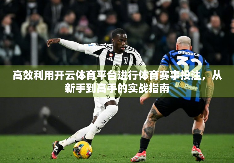 高效利用开云体育平台进行体育赛事投注，从新手到高手的实战指南