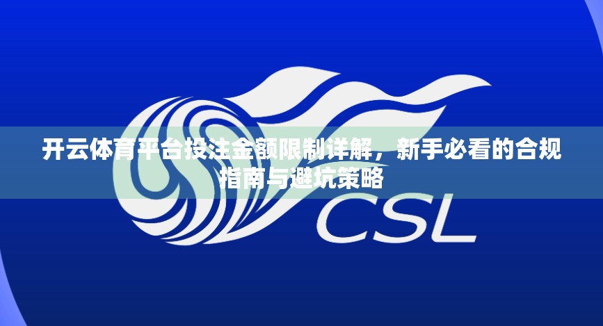 开云体育平台投注金额限制详解，新手必看的合规指南与避坑策略