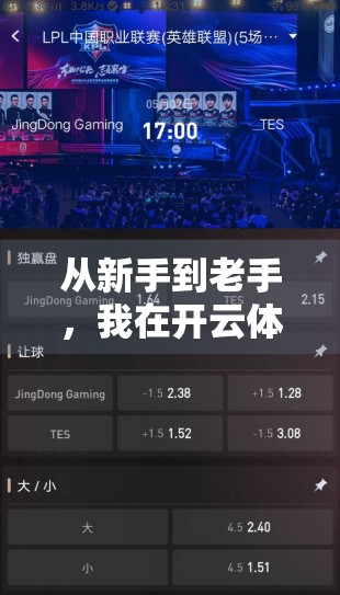从新手到老手，我在开云体育平台的下注体验全记录，真实感受+避坑指南！