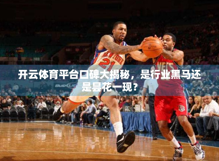 开云体育平台口碑大揭秘，是行业黑马还是昙花一现？