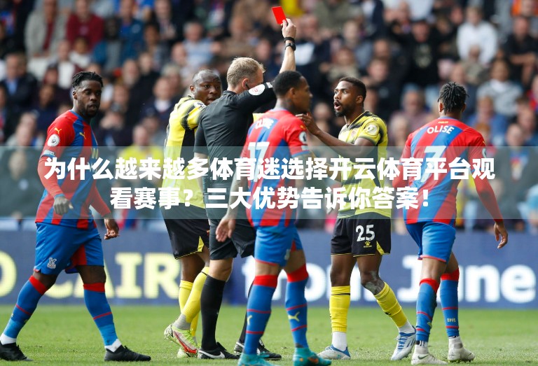 为什么越来越多体育迷选择开云体育平台观看赛事？三大优势告诉你答案！