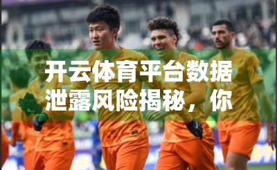 开云体育平台数据泄露风险揭秘，你的个人信息还安全吗？