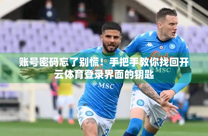 账号密码忘了别慌！手把手教你找回开云体育登录界面的钥匙