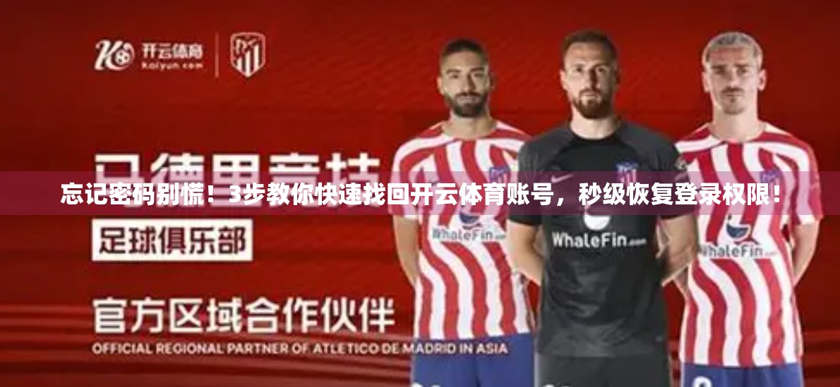 忘记密码别慌！3步教你快速找回开云体育账号，秒级恢复登录权限！