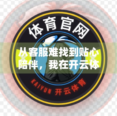 从客服难找到贴心陪伴，我在开云体育网页版入口的客户服务体验升级之旅