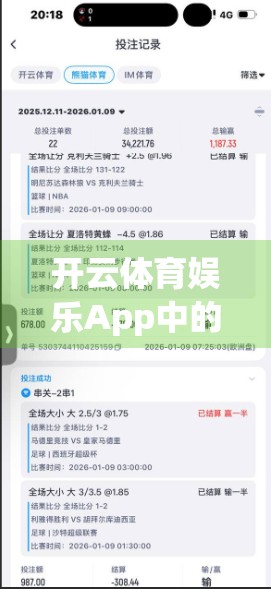 开云体育娱乐App中的安全风险防范，用户如何守护自己的数字边界？
