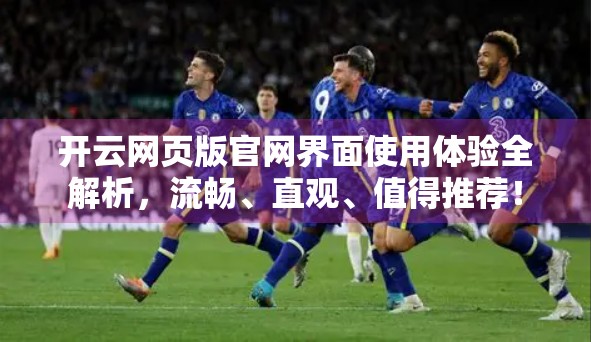 开云网页版官网界面使用体验全解析，流畅、直观、值得推荐！