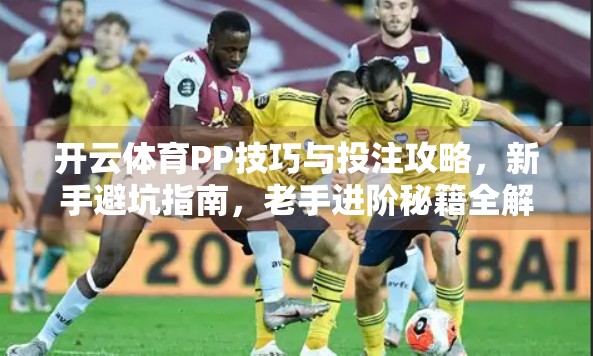 开云体育PP技巧与投注攻略，新手避坑指南，老手进阶秘籍全解析！