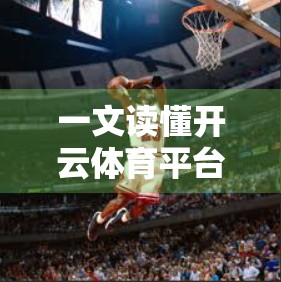 一文读懂开云体育平台官网多平台同步操作指南，手机、电脑、平板全搞定！