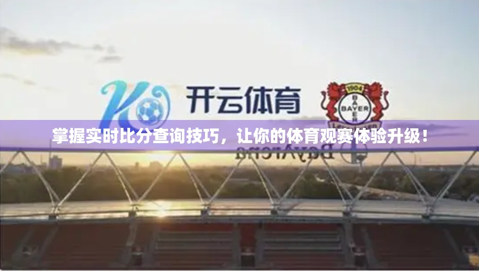 掌握实时比分查询技巧，让你的体育观赛体验升级！
