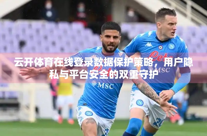 云开体育在线登录数据保护策略，用户隐私与平台安全的双重守护