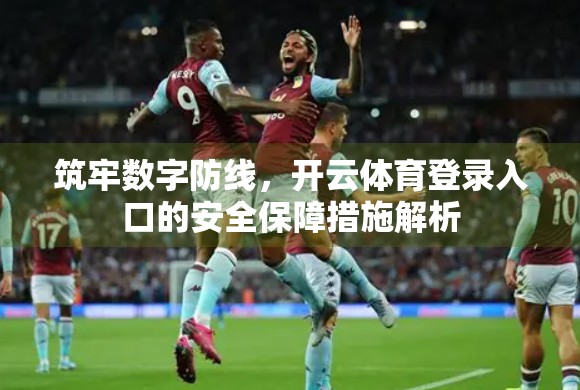 筑牢数字防线，开云体育登录入口的安全保障措施解析