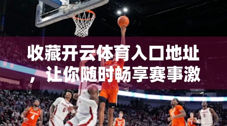 收藏开云体育入口地址，让你随时畅享赛事激情！