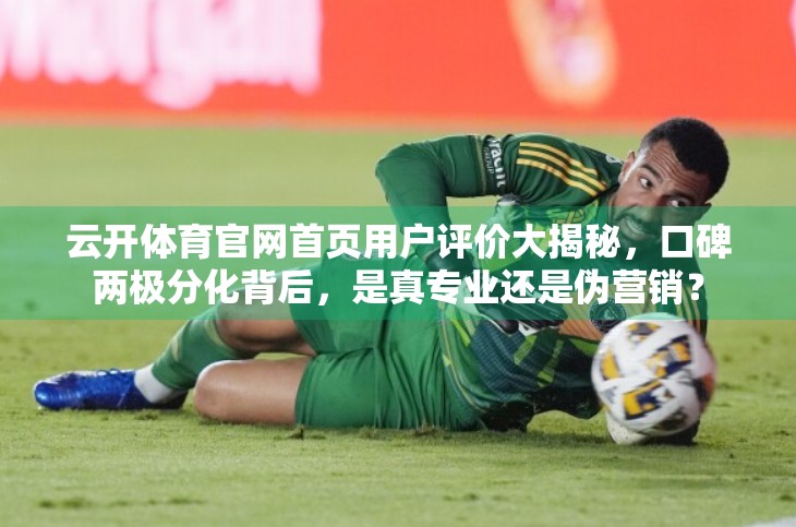 云开体育官网首页用户评价大揭秘，口碑两极分化背后，是真专业还是伪营销？