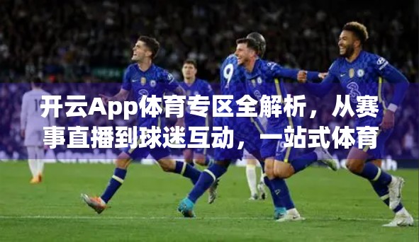 开云App体育专区全解析，从赛事直播到球迷互动，一站式体育体验来了！