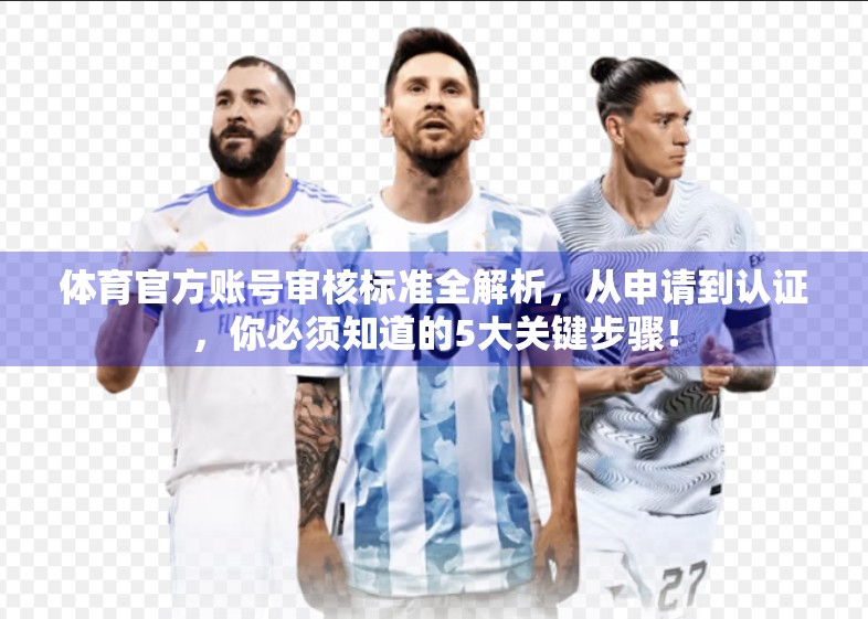 体育官方账号审核标准全解析，从申请到认证，你必须知道的5大关键步骤！