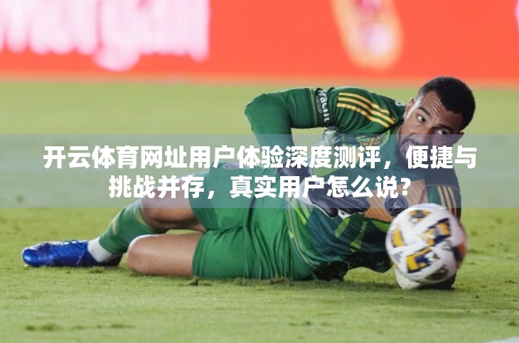 开云体育网址用户体验深度测评，便捷与挑战并存，真实用户怎么说？